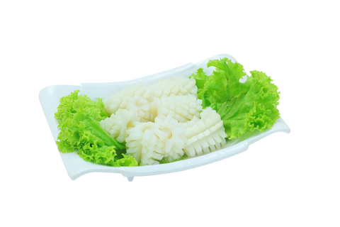 Squid/鱿鱼