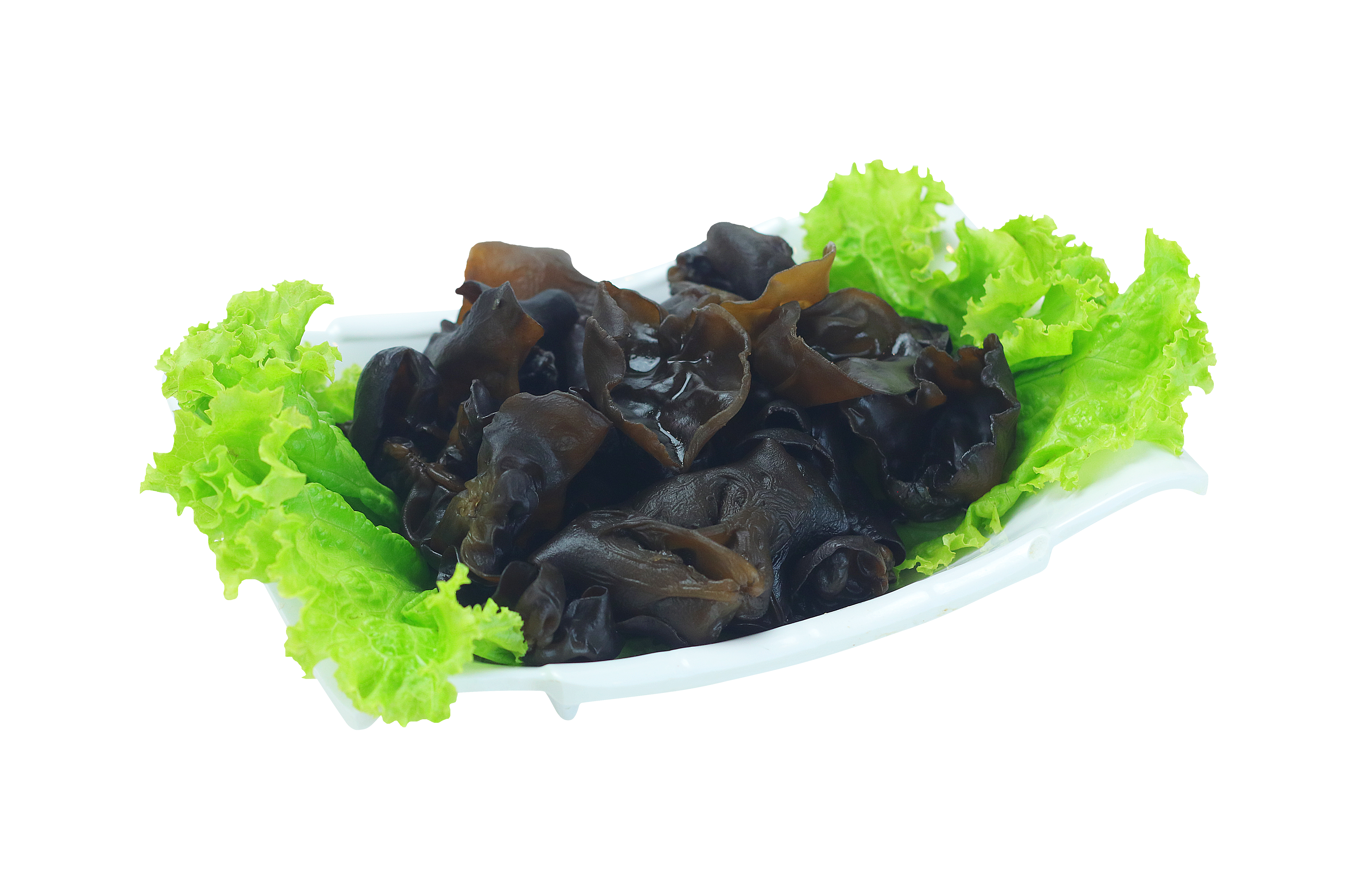 Black Fungus/黑木耳