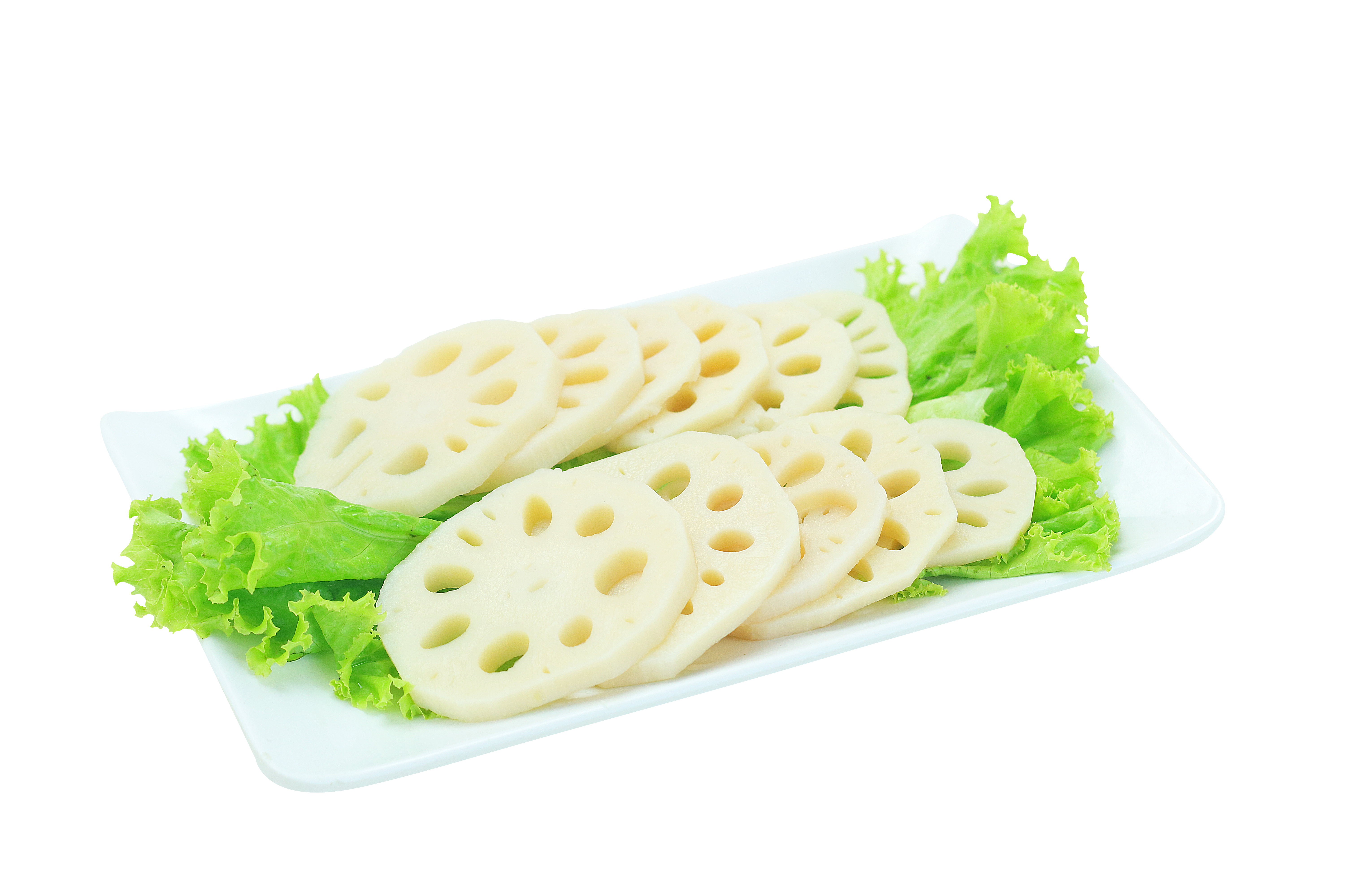 Lotus Root/藕片