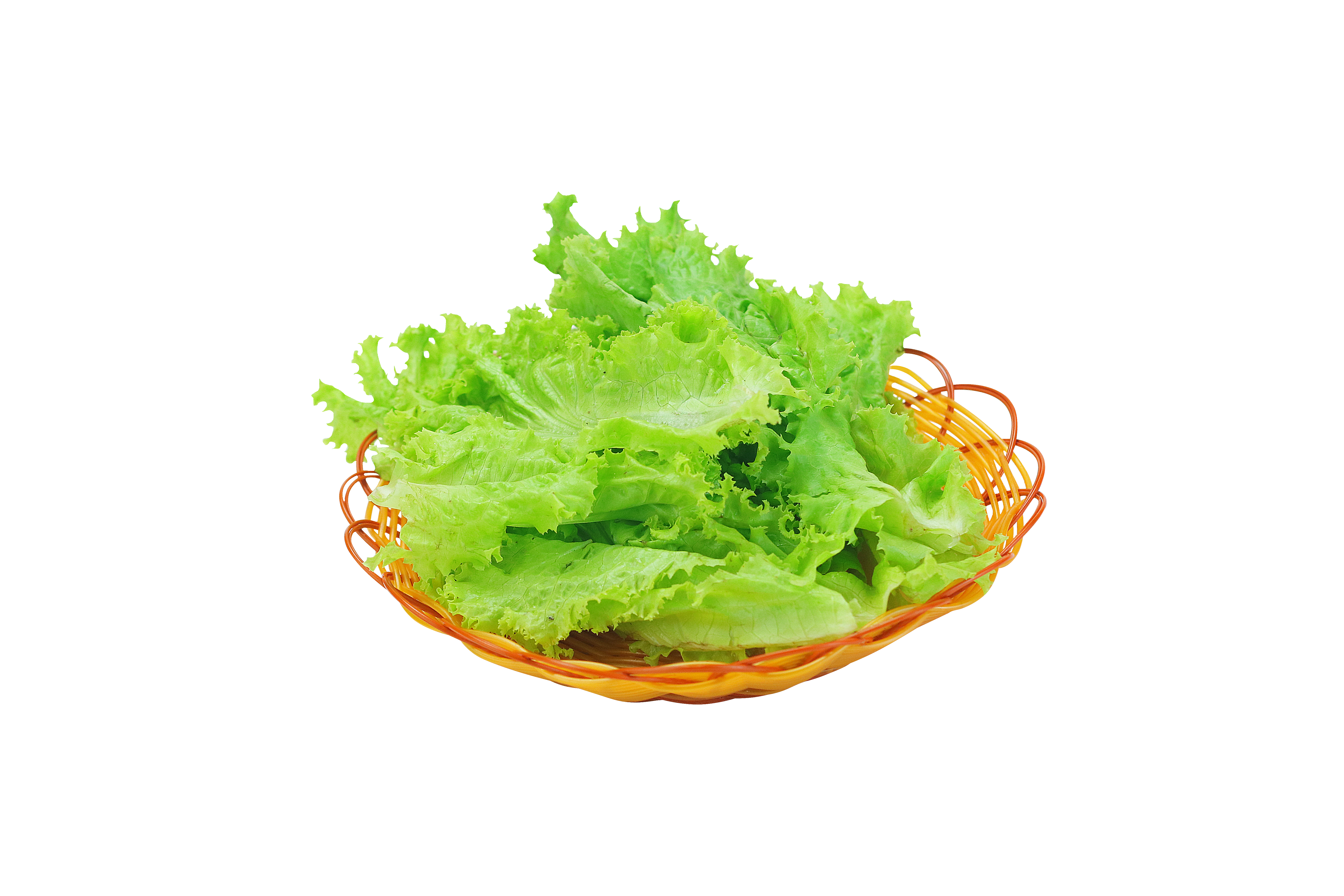 Lettuce/生菜