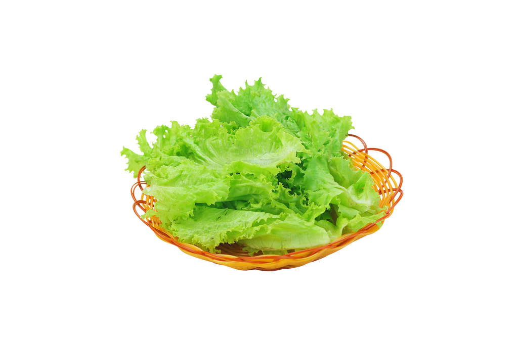 Lettuce/生菜