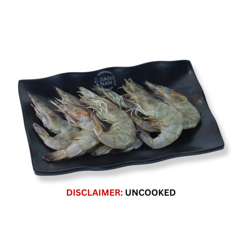 Shrimp/ 虾